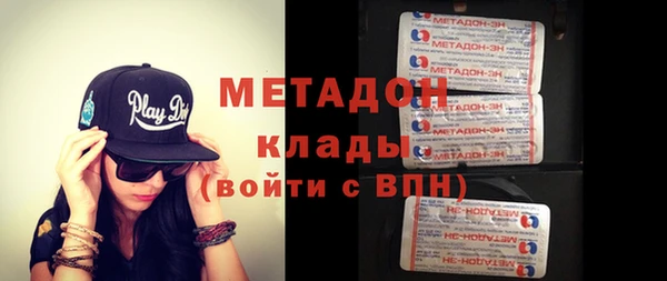 прущие грибы Новозыбков