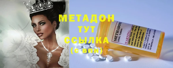 сатива Няндома