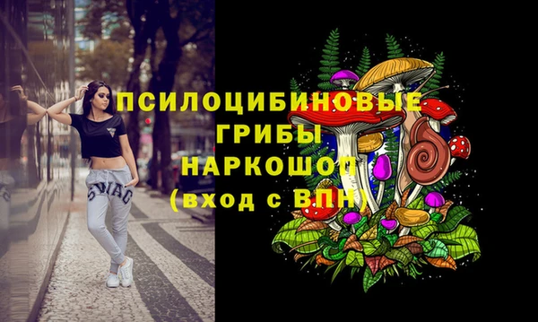 гидра Новодвинск