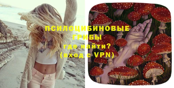 сатива Няндома