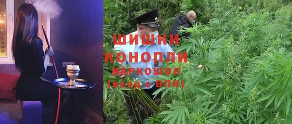 гидра Новодвинск