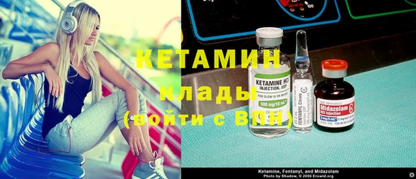 сатива Няндома
