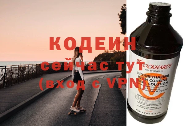 прущие грибы Новозыбков