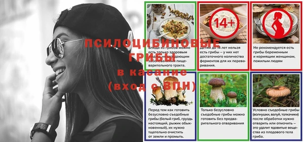 гидра Нязепетровск