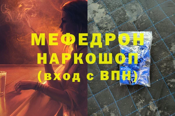 сатива Няндома