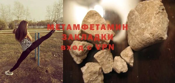 прущие грибы Новозыбков
