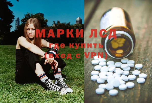 сатива Няндома