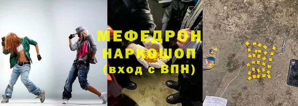 сатива Няндома