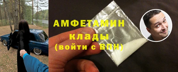 гидра Новодвинск