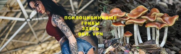 дистиллят марихуана Новокубанск