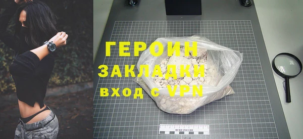 сатива Няндома