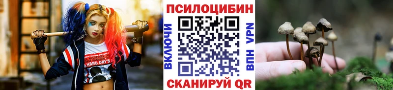 дарнет шоп Поронайск Псилоцибиновые грибы Psilocybine cubensis